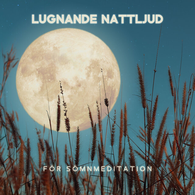 Lugnande nattljud för sömnmeditation (Avkopplande omgivande musik med syrsor, Vind och vattenljud)