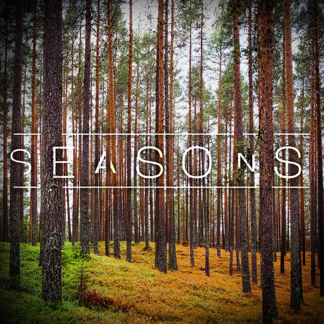 Seasons