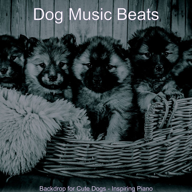 Backdrop for Cute Dogs - Inspiring Piano