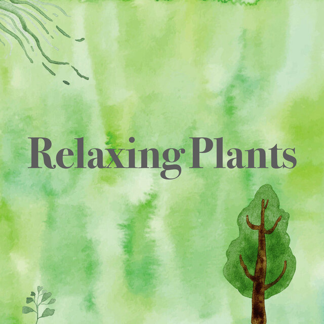 Relaxing Plants
