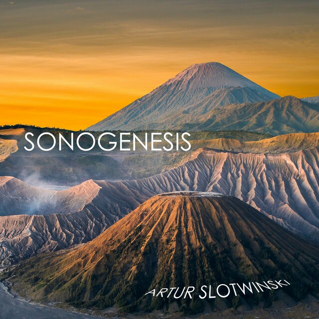 Sonogenesis