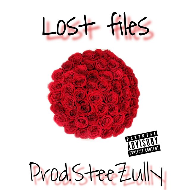 Lost Files