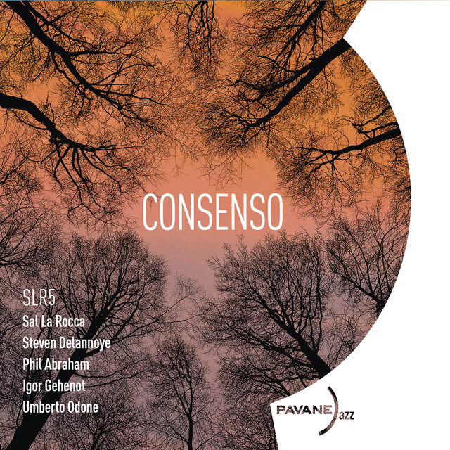 Cover art for album Consenso by SLR5