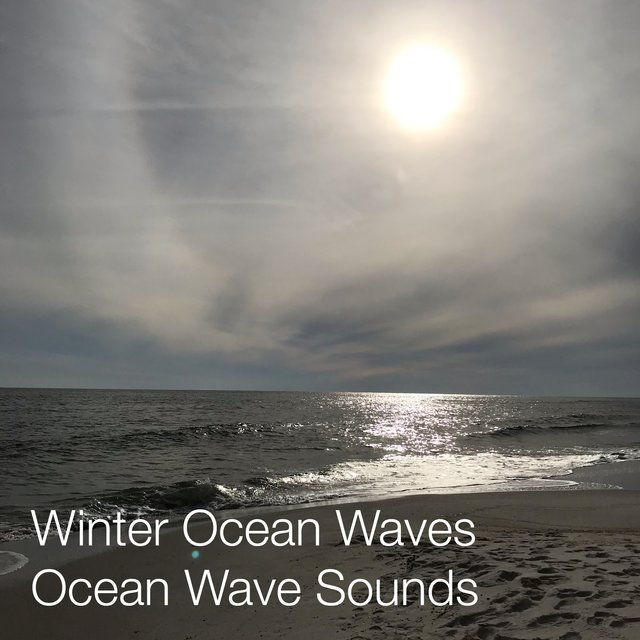 Winter Ocean Waves