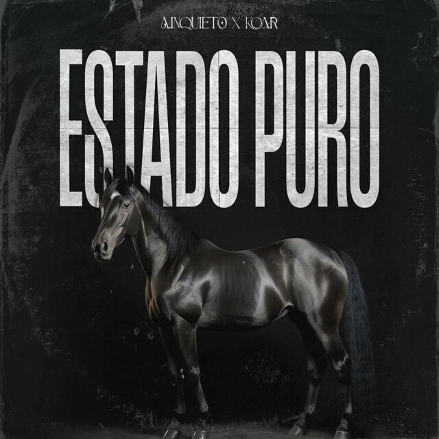 Estado Puro