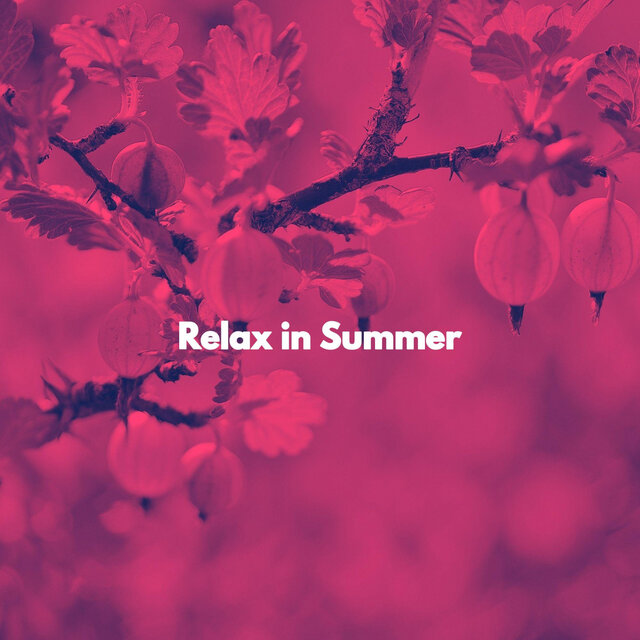 Relax in Summer