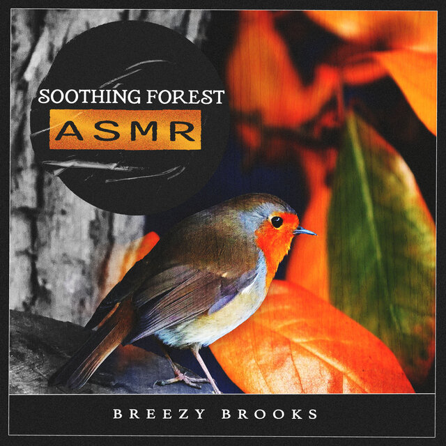 Soothing Forest ASMR