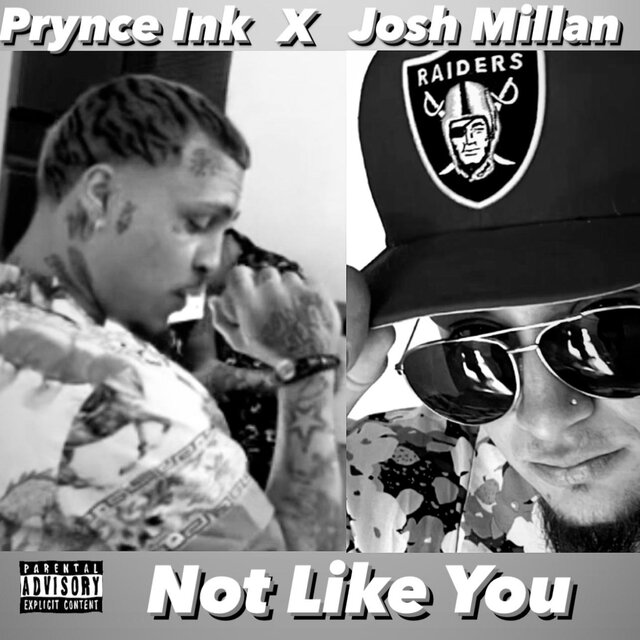 Not Like You (feat. Prynce Ink)