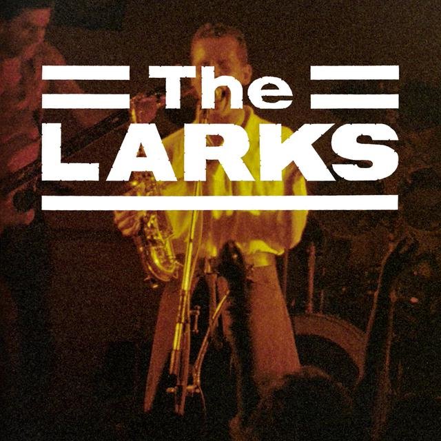 The Larks Live in Kingston