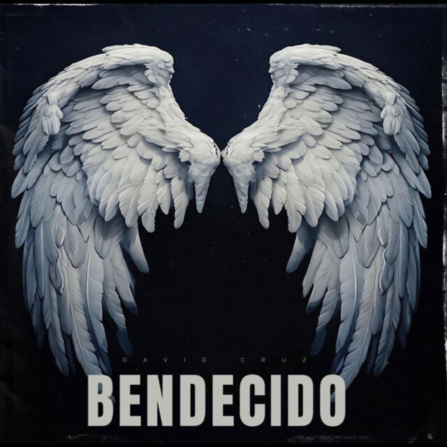 BENDECIDO