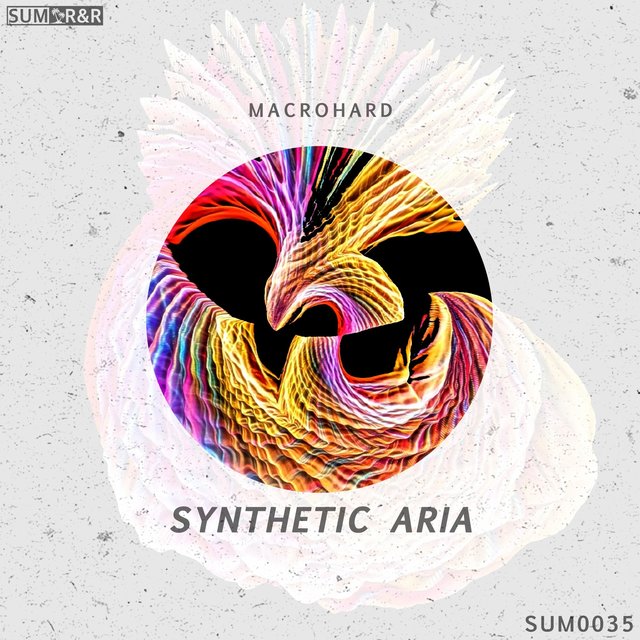 R sum. Макрохард. macrohard. синтетика музыка. sum.r.