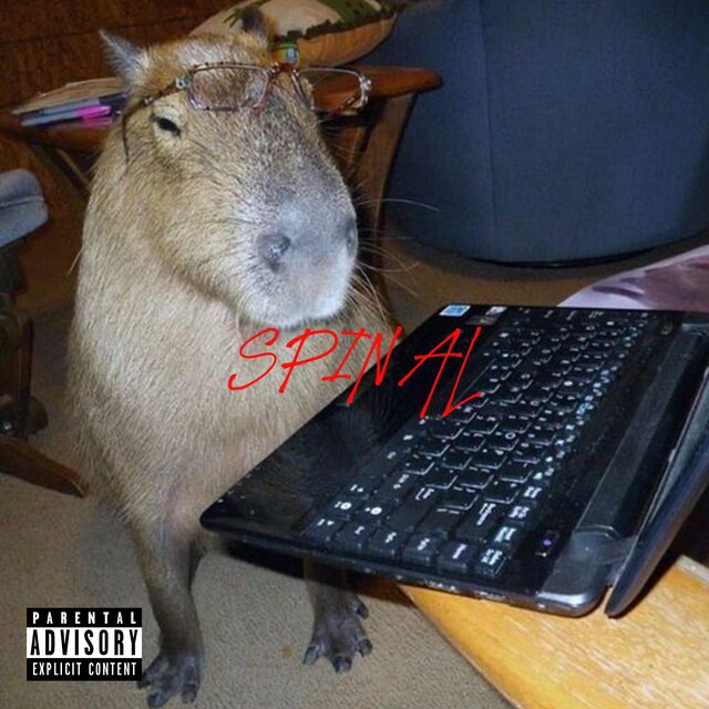 Spinal
