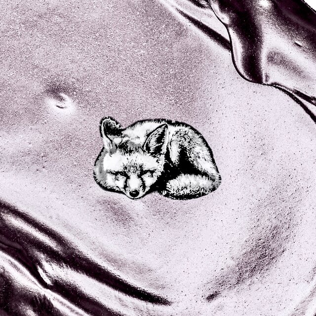 Silver Fox