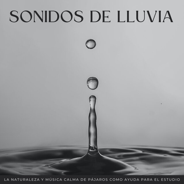Sonidos De Lluvia: La Naturaleza Y Música Calma De Pájaros Como Ayuda Para El Estudio