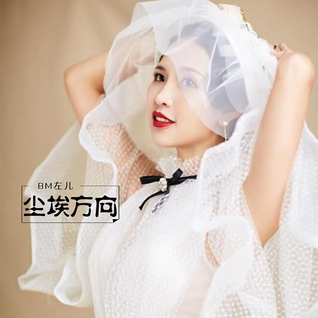 尘埃方向