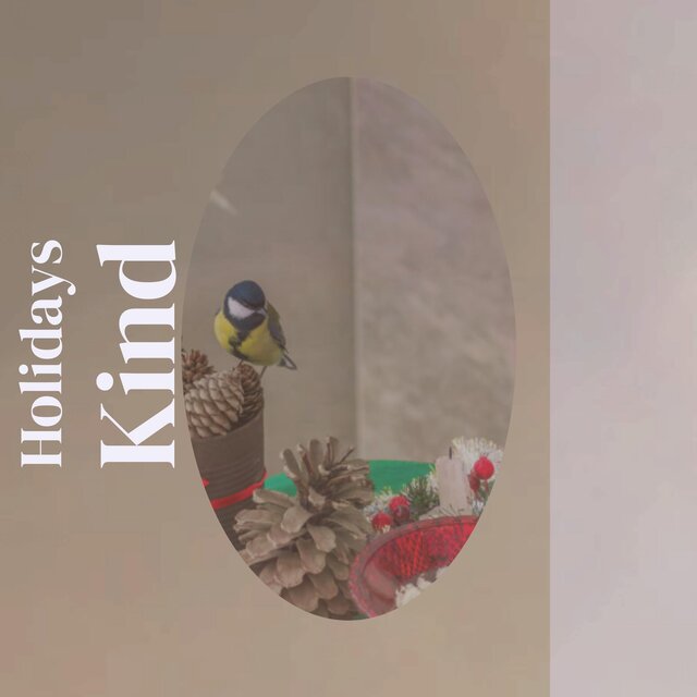 Holidays Kind