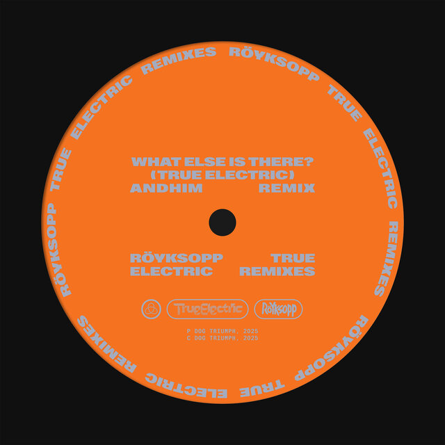 What Else Is There? (andhim Extended Remix)