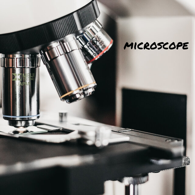 Microscope