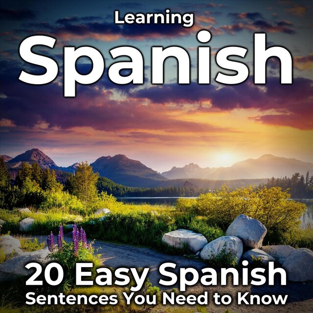 Learning Spanish: 20 Easy Spanish Sentences You Need to Know
