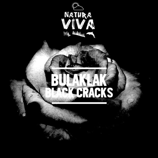 Black Cracks