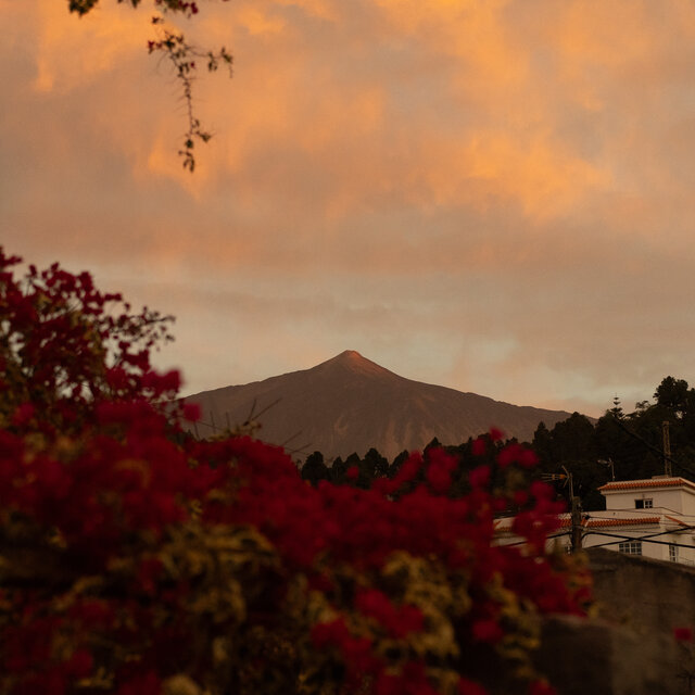 Teide