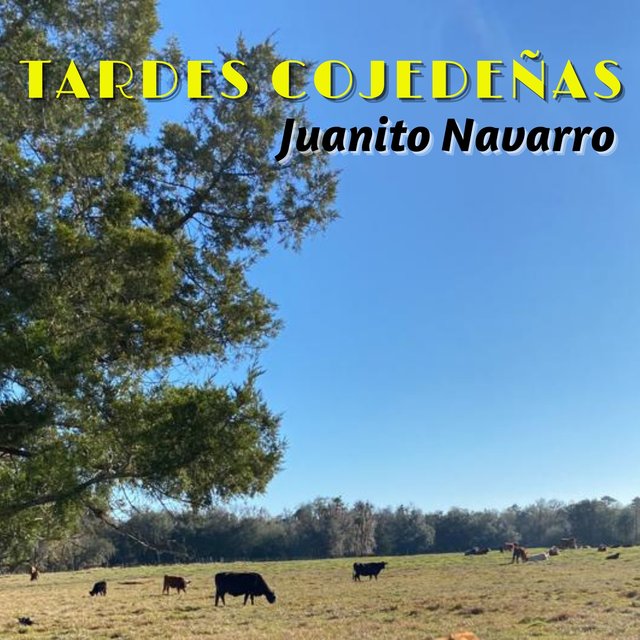 Tardes Cojedeñas