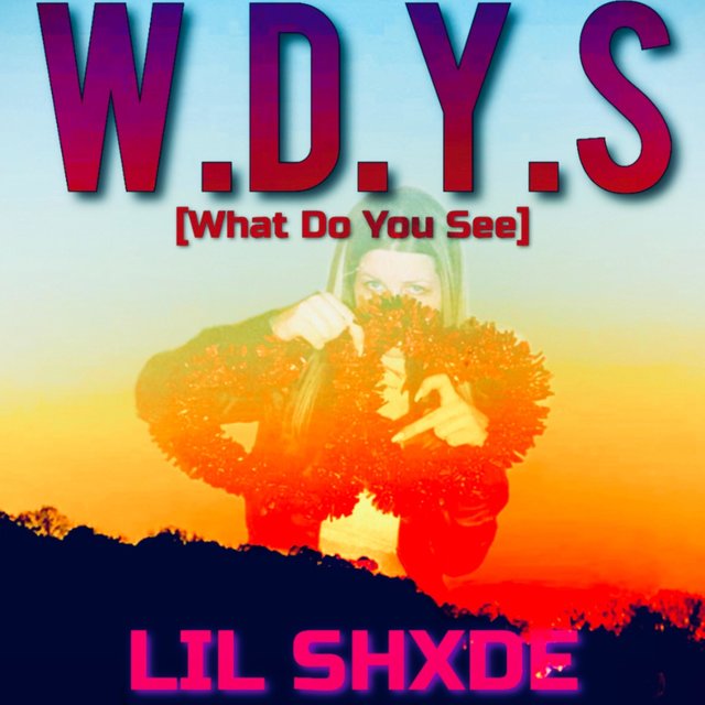 W.D.Y.S