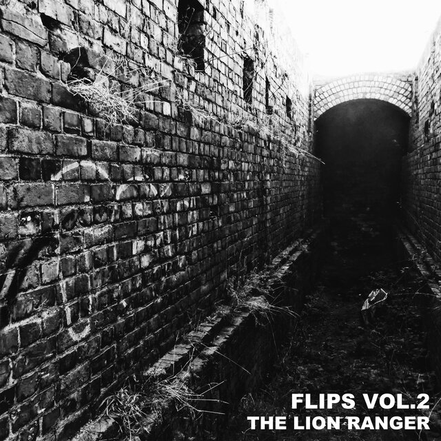 Flips, Vol. 2