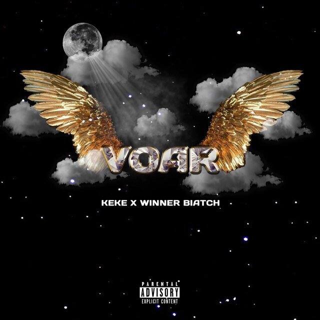 Voar (feat. Winner Biatch)