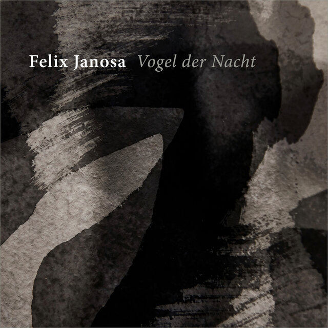 Vogel der Nacht