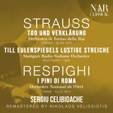 Tod und Verklärung, Op. 24, IRS 107
