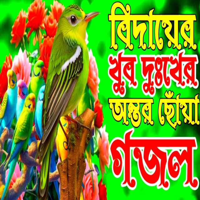 bangla new gojol viral