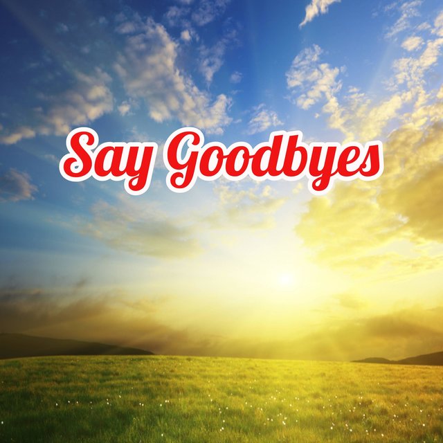 Say Goodbyes