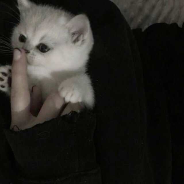 to dla niej