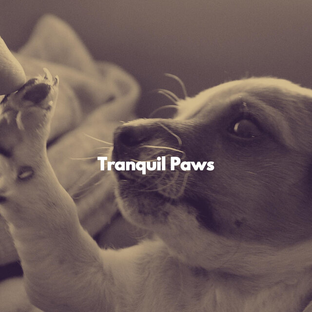Tranquil Paws