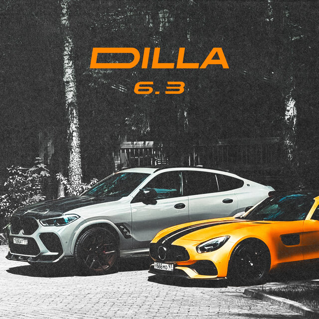 6.3