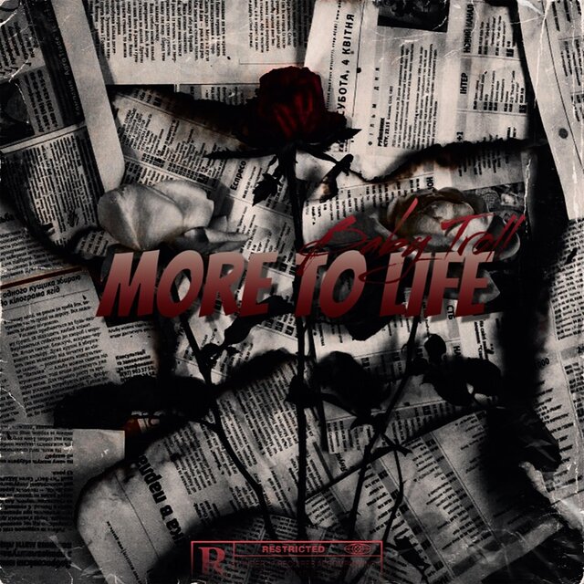 More To Life