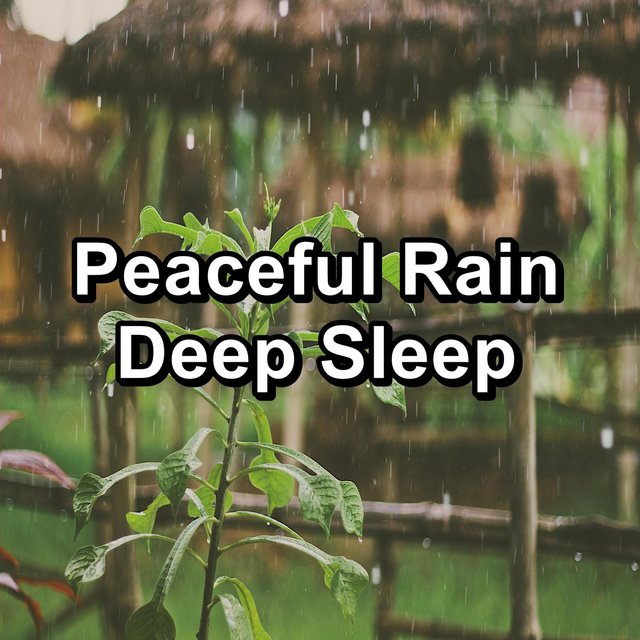 Peaceful Rain Deep Sleep