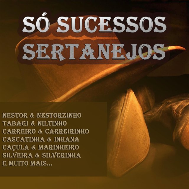 Só sucessos sertanejos