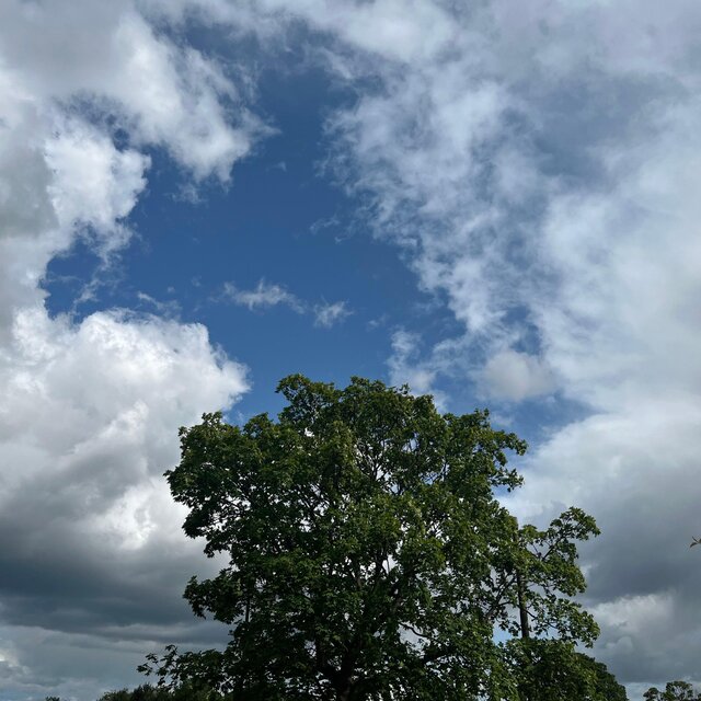 Up