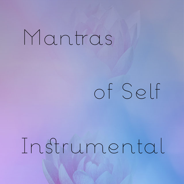 Mantras of Self (feat. Brice Salek) (Instrumental)