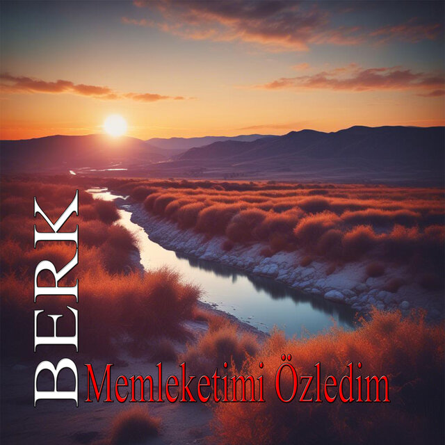 Memleketimi Özledim