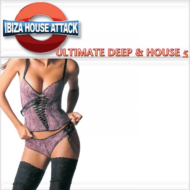 Ultimate Deep & House 5