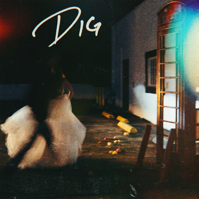 Dig
