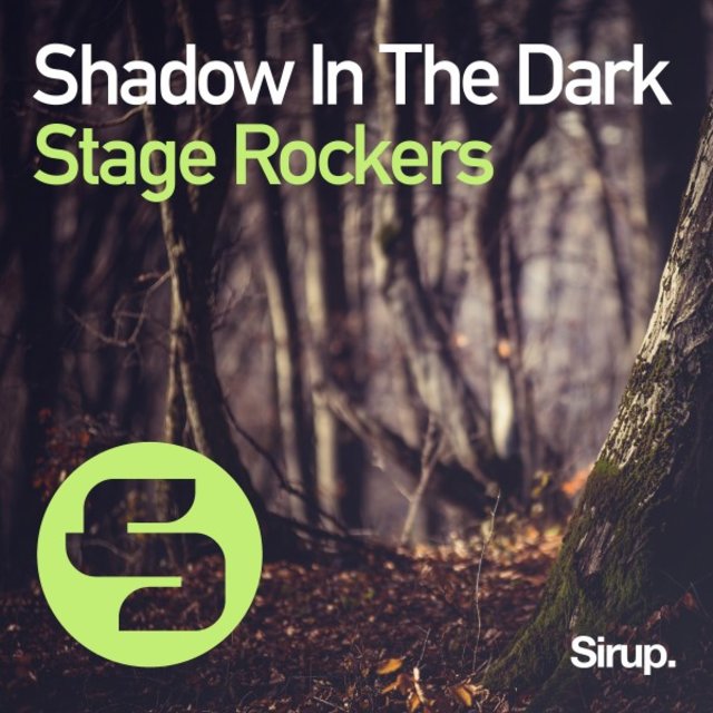 Shadow in the Dark