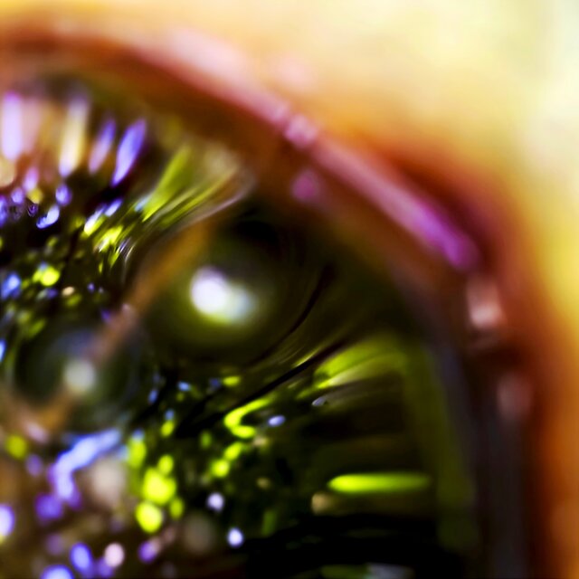 Fragments of Utopia