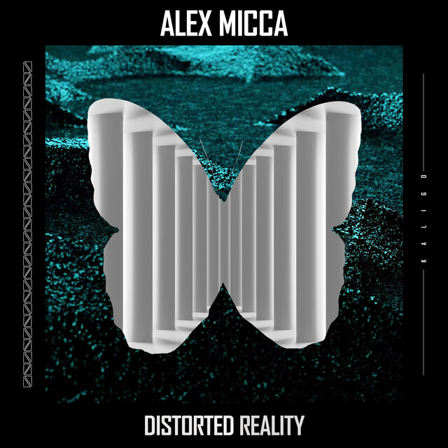 Distorted Reality