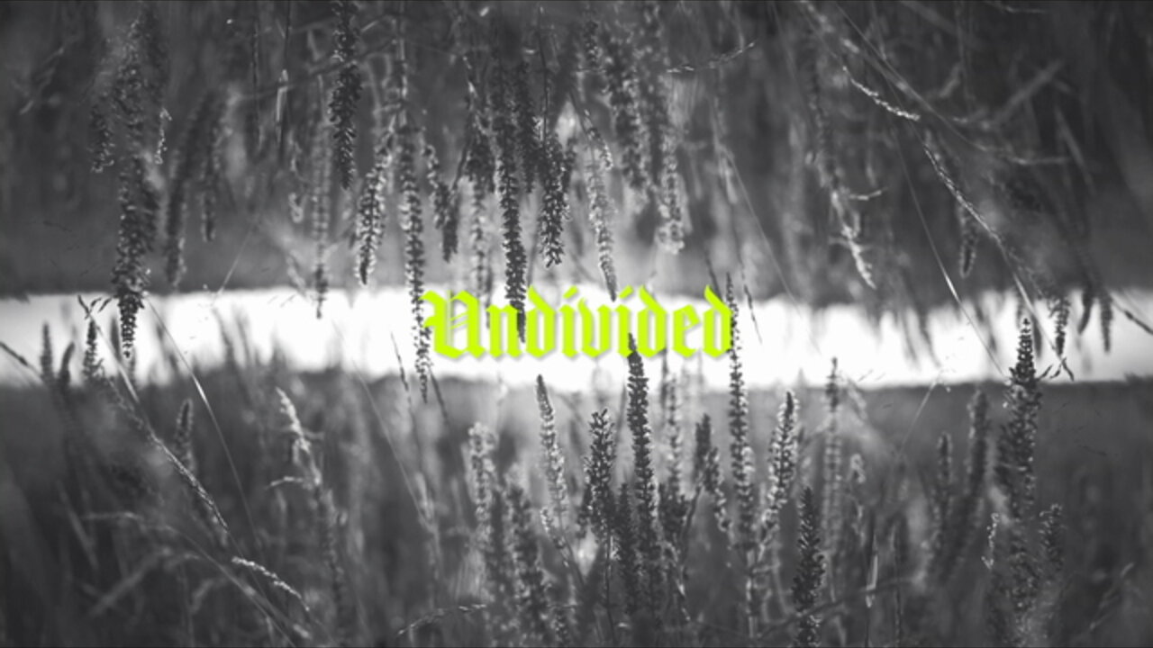 Undivided (Lyric Video)