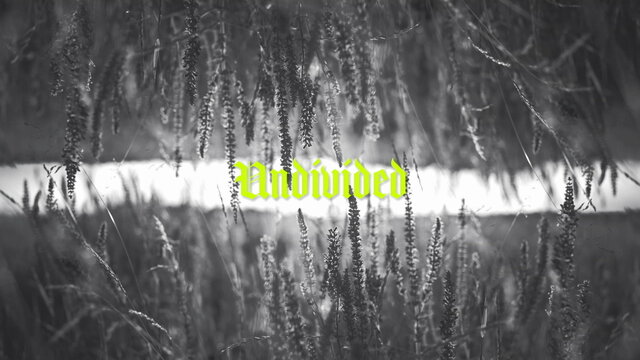 Undivided (Lyric Video)