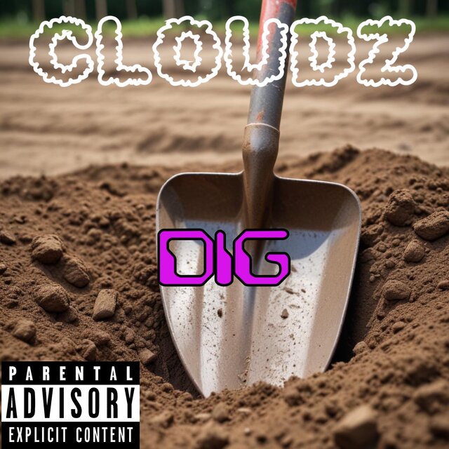 DIG